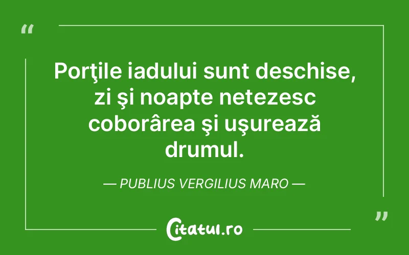 Citat Publius Vergilius Maro - citate viata