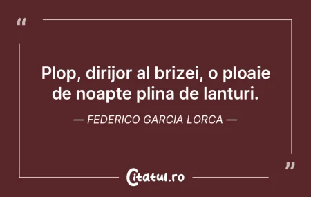 Orașele, ca și pisicile, se vor arăta... Orașele, ca și pisicile, se vor arăta...