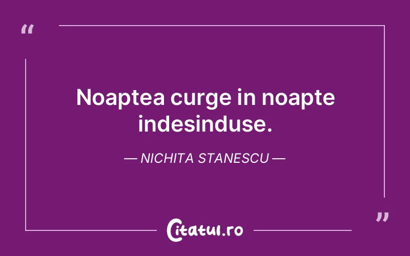 Citat Nichita Stanescu - citate viata