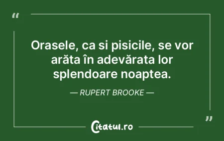 Reala e doar setea arcasului ce-alearga ... Reala e doar setea arcasului ce-alearga ...