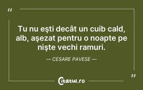 Citat Viață - Citatul.ro