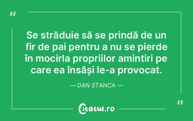Citat Dan Stanca - citate viata