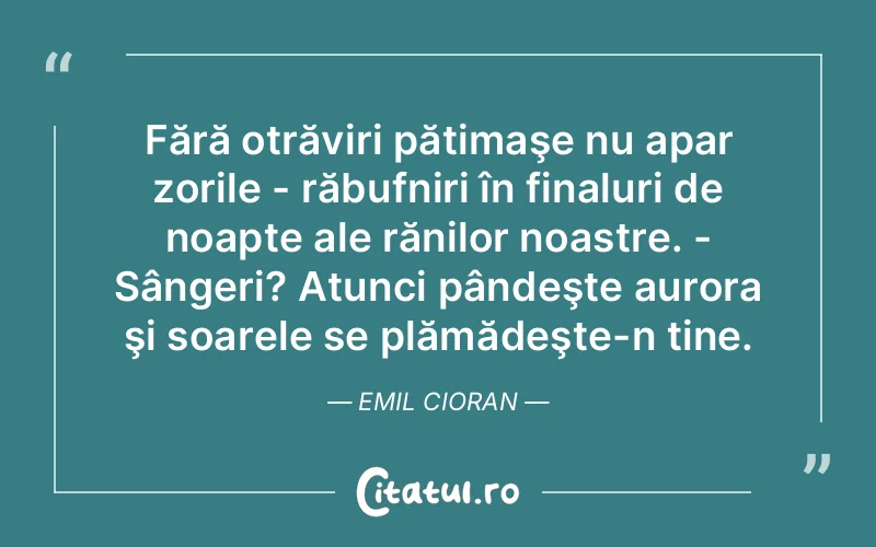 Citat Emil Cioran - citate viata