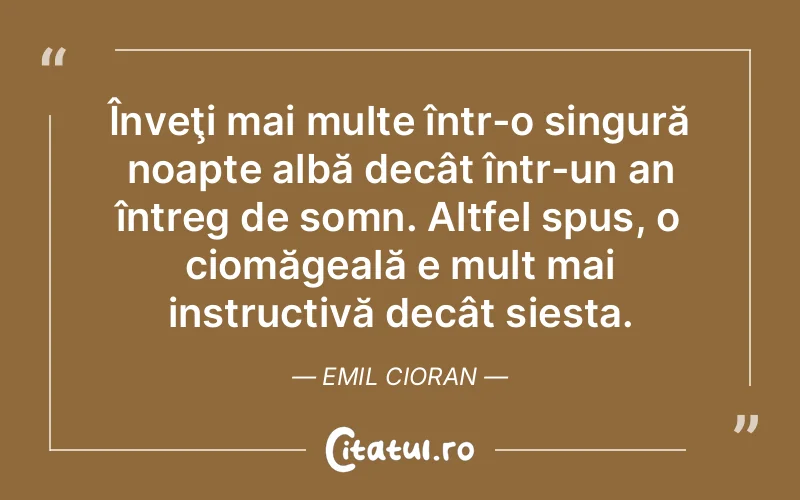 Citat Emil Cioran - citate viata