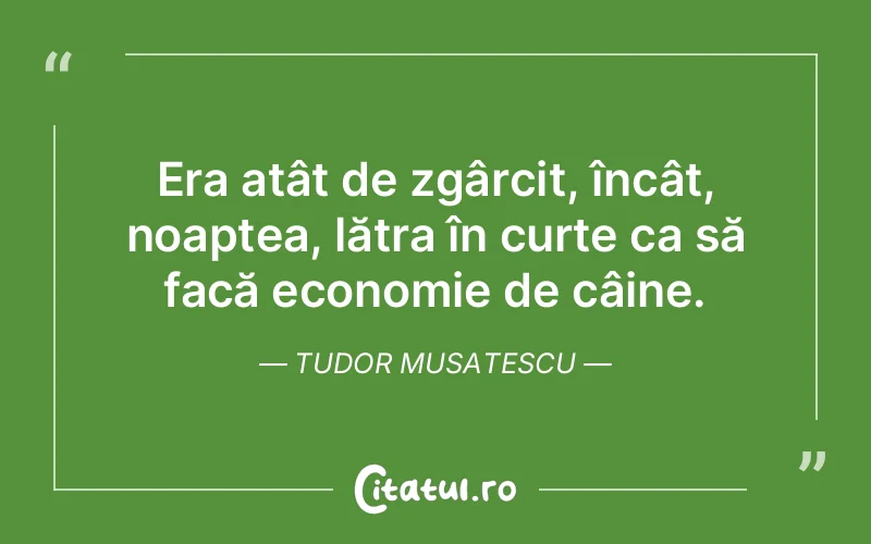 Citat Tudor Musatescu - citate viata