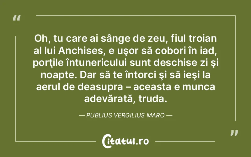 Citat Autor necunoscut - citate viata