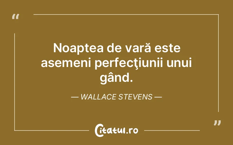 Citat Wallace Stevens - citate viata