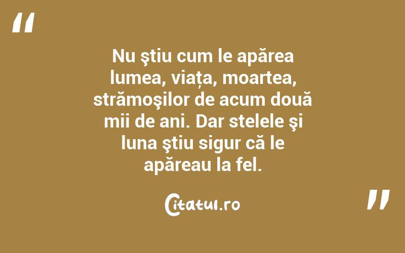 Nu ştiu cum le apărea lumea, viaţa, moartea, strămoşilor de acum două mii de ani. Dar stelele şi luna ştiu sigur că le apăreau la fel. 
