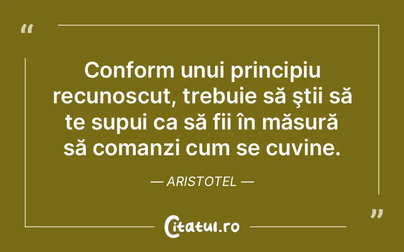 Citat Aristotel - citate viata