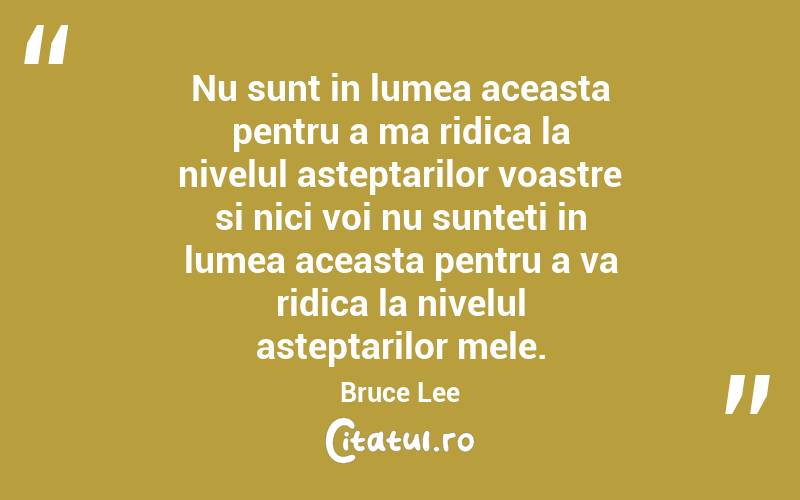 Nu sunt in lumea aceasta pentru a ma ridica la nivelul asteptarilor voastre si nici voi nu sunteti in lumea aceasta pentru a va ridica la nivelul asteptarilor mele. Bruce Lee