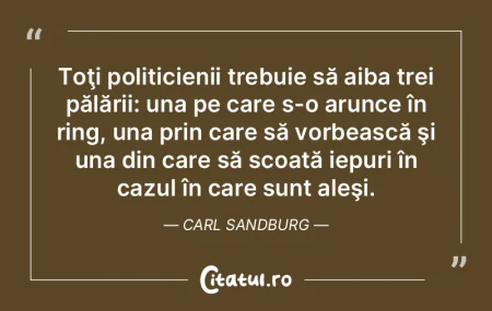 Cred că politica este un lucru prea ser... Cred că politica este un lucru prea ser...