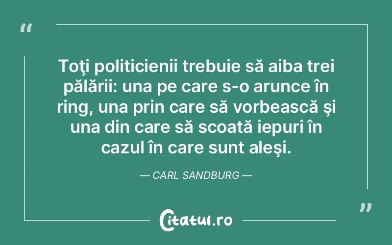 Citat Carl Sandburg - citate viata