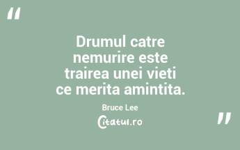 Drumul catre nemurire este trairea unei vieti ce merita amintita. Bruce Lee...