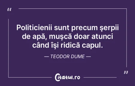 Politică. Conceptul modern prin care es... Politică. Conceptul modern prin care es...