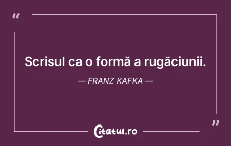 Programul scris al candidatului nu trebu...