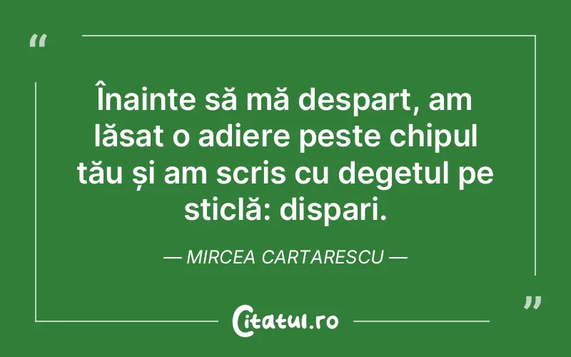 Citat Mircea Cartarescu - citate viata