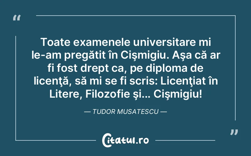 Citat Tudor Musat - citate viata