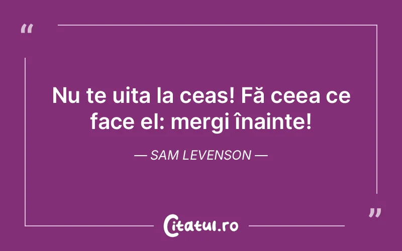 Citat Sam Levenson - citate viata