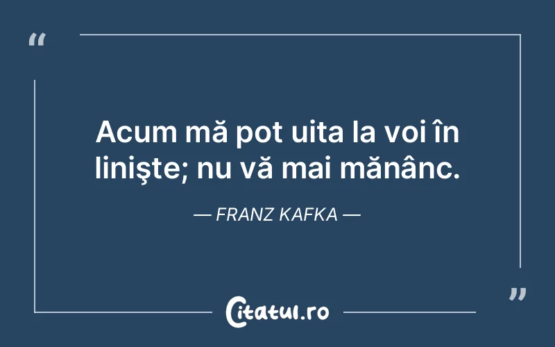 Citat Franz Kafka - citate viata