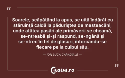 Citat Viață - Citatul.ro