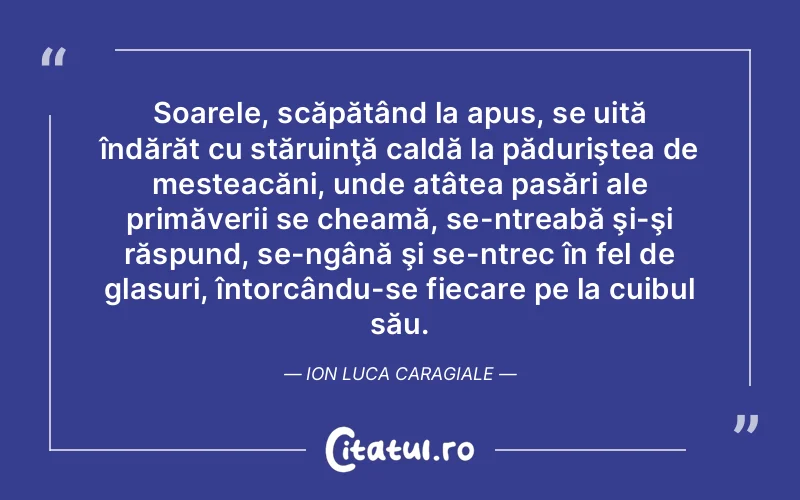 Citat Autor necunoscut - citate viata