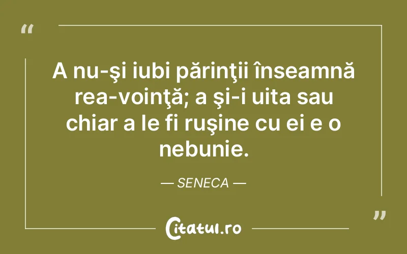 Citat Seneca - citate viata