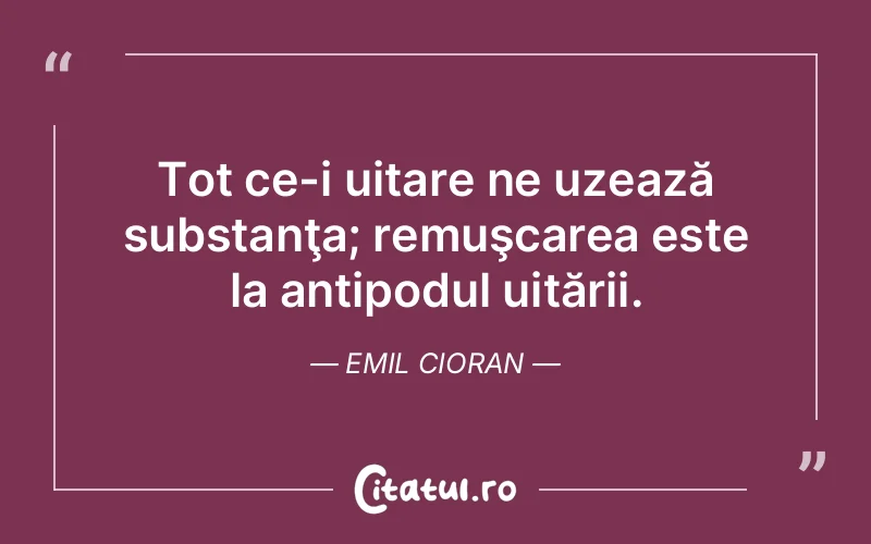 Tot ce-i uitare ne uzează substanţa; remuşcarea este la antipodul uitării. Emil Cioran