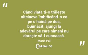 Când viața ți-o trăiește altcineva îmbrăcând-o ca pe o haină pe dos, buimăcit, ajungi la adevărul pe care nimeni nu dorește să-l cunoască. Maria Pal...