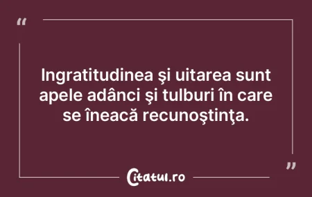 Fanatismul înseamnă să-ţi dublezi ef...
