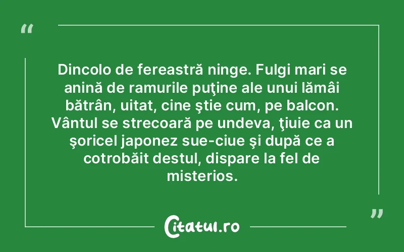 Citat Autor necunoscut - citate viata