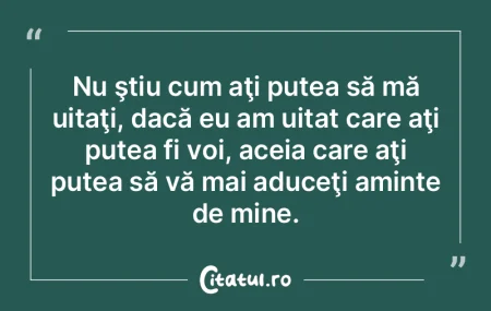 Şi negrii se uită tot în oglinzi albe...