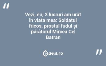 Vezi, eu, 3 lucruri am urât în viața mea: Soldatul fricos, prostul fudul și pârâtorul Mircea Cel Batran...