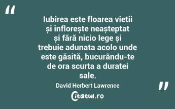 Iubirea este floarea vieții și inflorește neașteptat și fără nicio lege și trebuie adunata acolo unde este găsită, bucurându-te de ora scurta a duratei sale. David Herbert Lawrence...