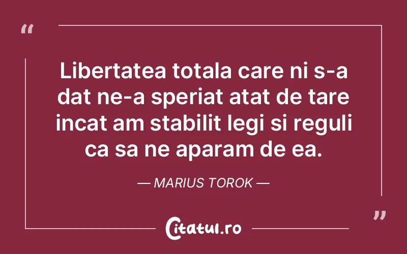 Citat Marius Torok - citate viata