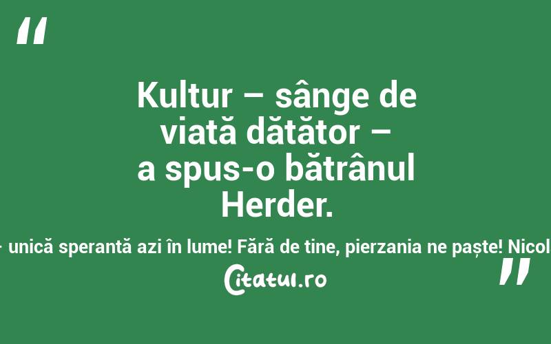 Kultur – sânge de viață dătător – a spus-o bătrânul Herder. Cultură – unică speranță azi în lume! Fără de tine, pierzania ne paște! Nicolae Mareș
