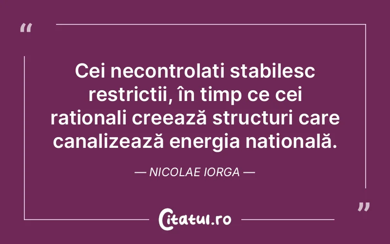Citat Nicolae Iorga - citate viata