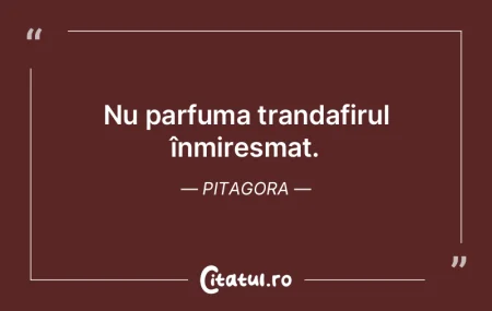 Dacă îţi iei nevastă, nu te căsăto...