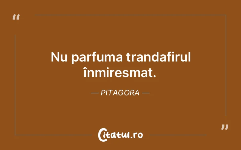 Citat Pitagora - citate viata