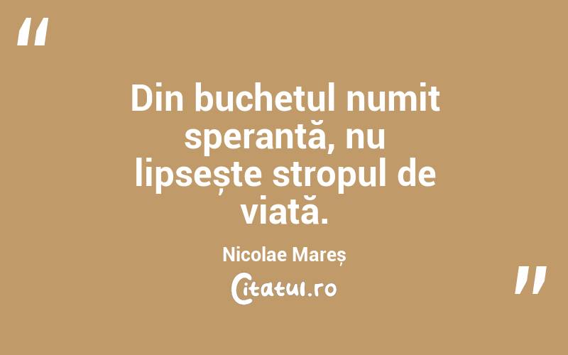 Din buchetul numit speranță, nu lipsește stropul de viață. Nicolae Mareș