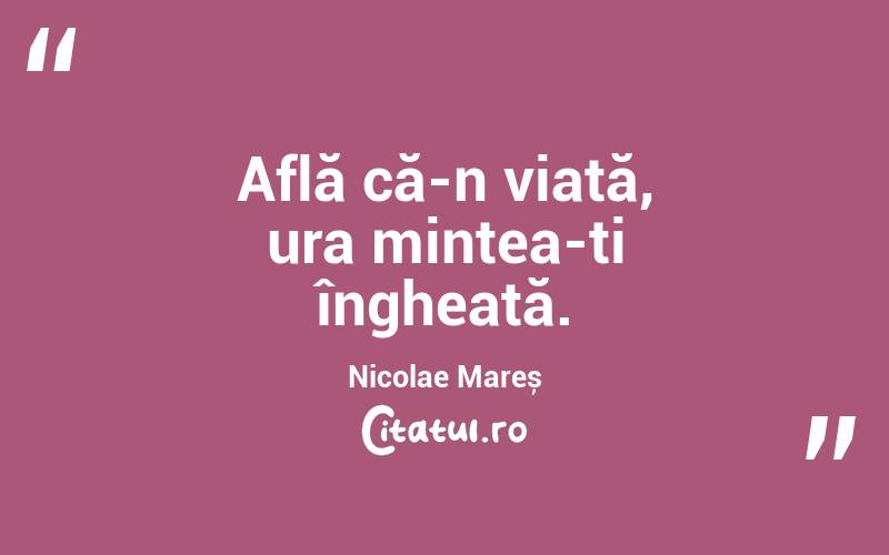 Află că-n viață, ura mintea-ți îngheață. Nicolae Mareș
