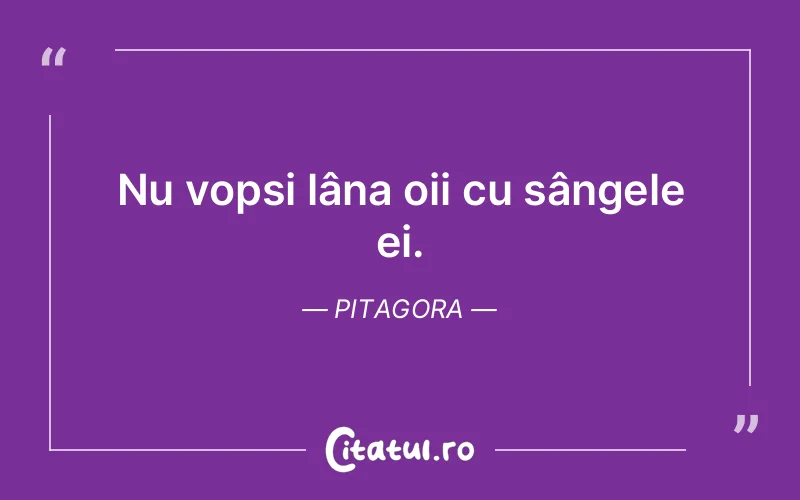 Citat Pitagora - citate viata