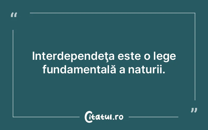 Citat Autor necunoscut - citate viata