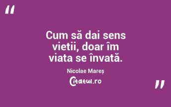 Cum să dai sens vieții, doar îm viața se învață. Nicolae Mareș...