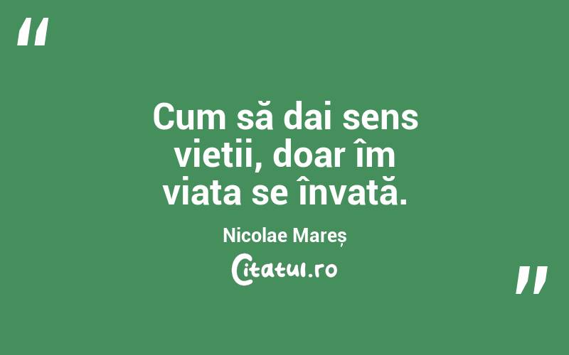 Cum să dai sens vieții, doar îm viața se învață. Nicolae Mareș
