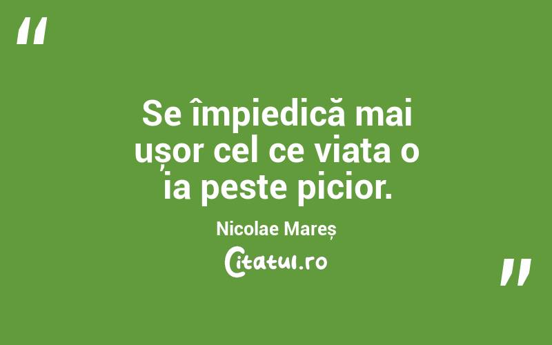 Se împiedică mai ușor cel ce viața o ia peste picior. Nicolae Mareș
