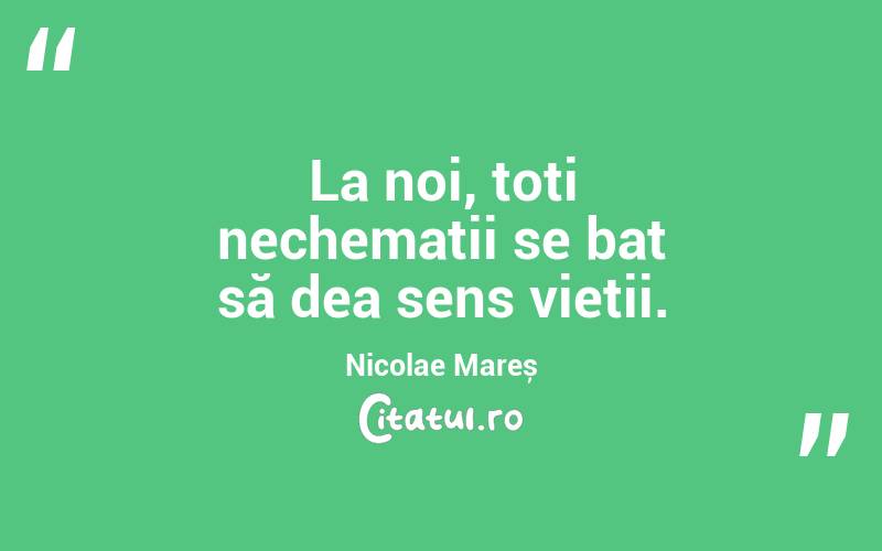 La noi, toți nechemații se bat să dea sens vieții. Nicolae Mareș
