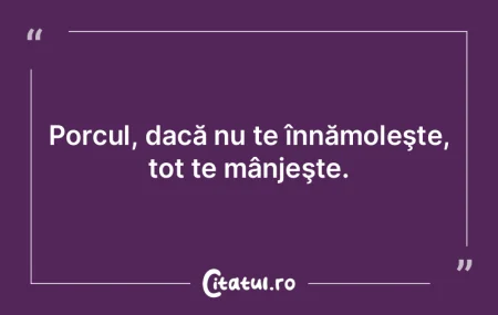 Nu pot să ignor ignoranţa. Nu pot să ignor ignoranţa.