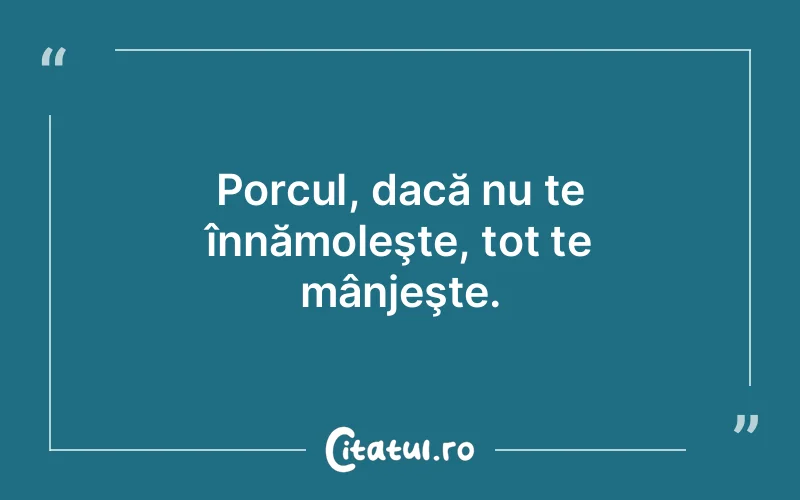 Citat Autor necunoscut - citate viata