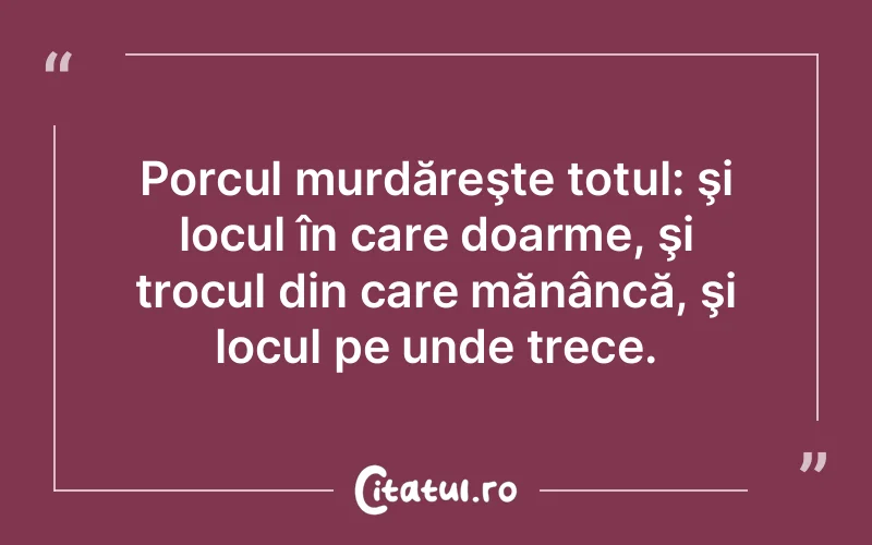 Citat Autor necunoscut - citate viata