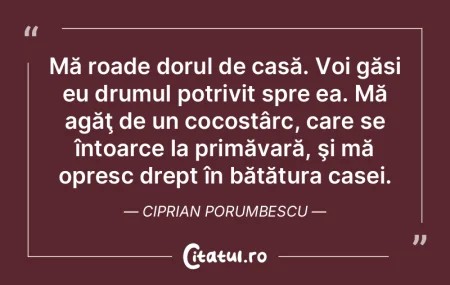 Casa, un edificiu gol pe dinauntru ridic...